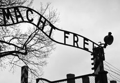 Auschwitz - topographie et logique de l’extermination